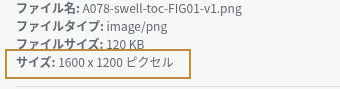 WordPressの添付ファイルの詳細で、画像のサイズが1600×1200ピクセルと表示されている画面